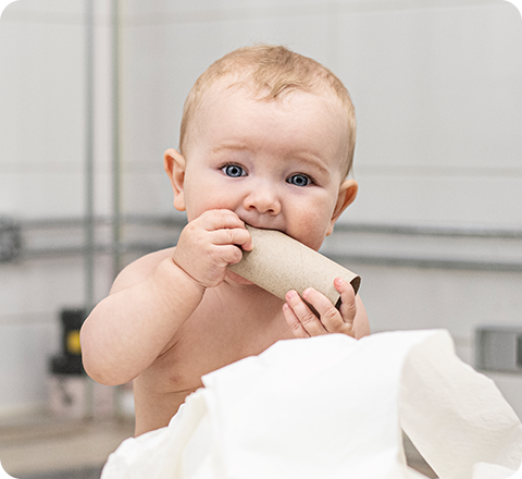 프로바이오틱스의 중요성