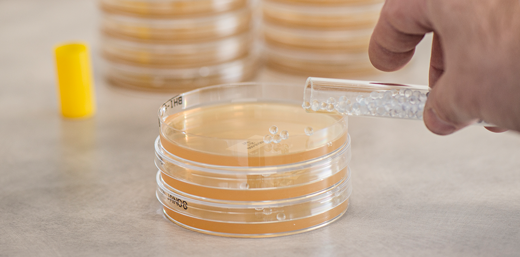 프리바이오틱스란?