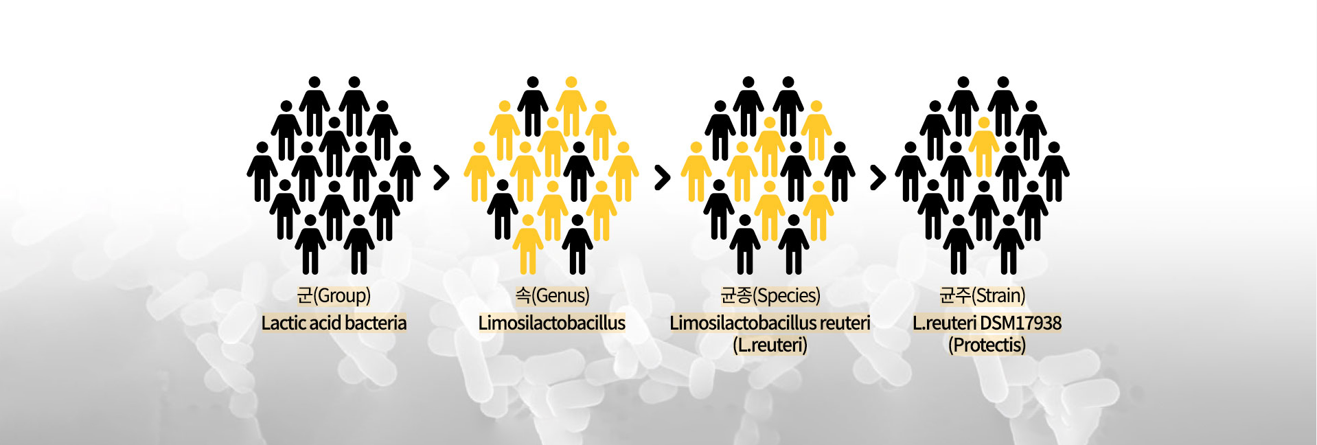 균주까지 확실한 바이오가이아 특허받은 프로바이오틱스